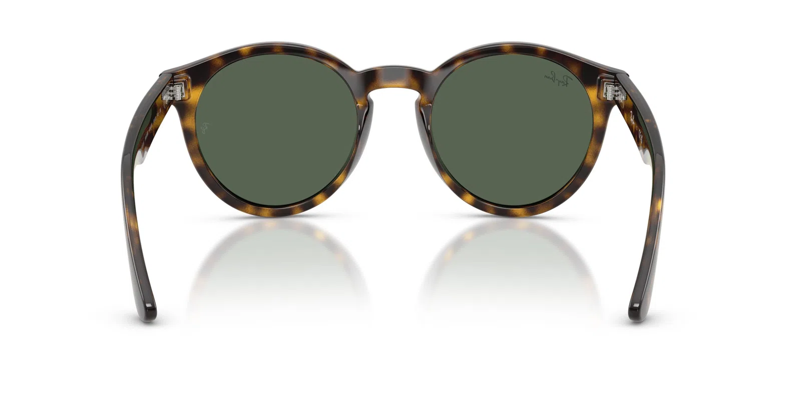 Ray-Ban R0505S Sunglasses - view 39